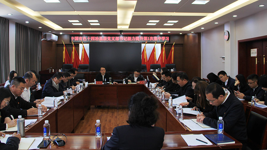 公司黨委召開2025年基層黨支部書記能力提升第1次集中學習會