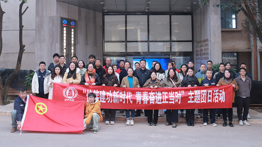 公司團委聯合集團多家單位開展“伙伴建功新時代 青春奮進正當時”主題團日活動