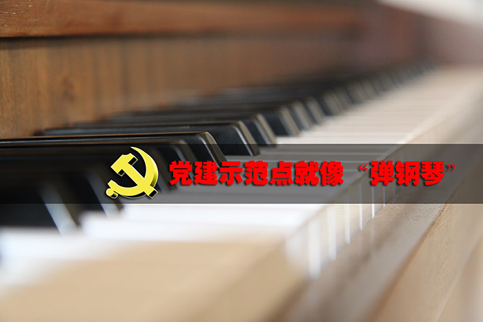 黨建示范點建設就像“彈鋼琴”